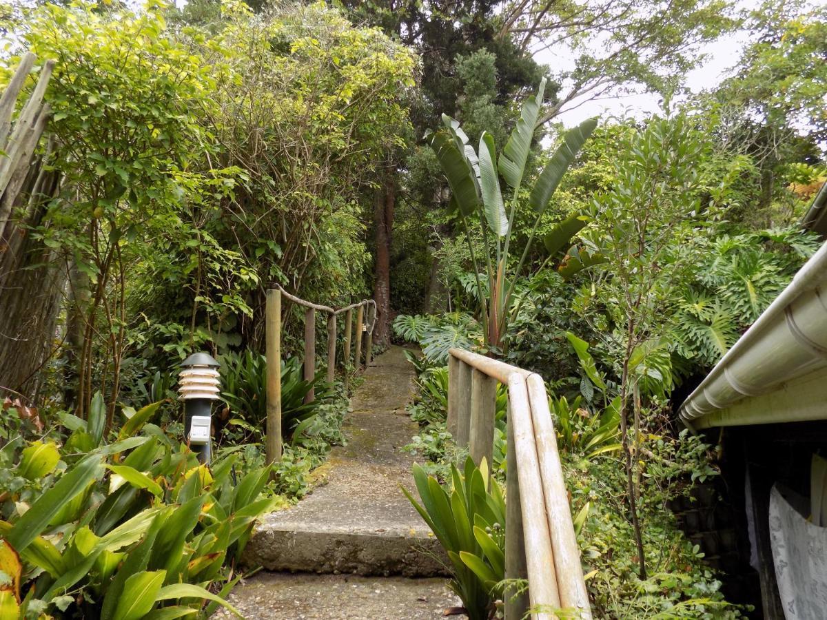 Protea Guest House Knysna Bagian luar foto