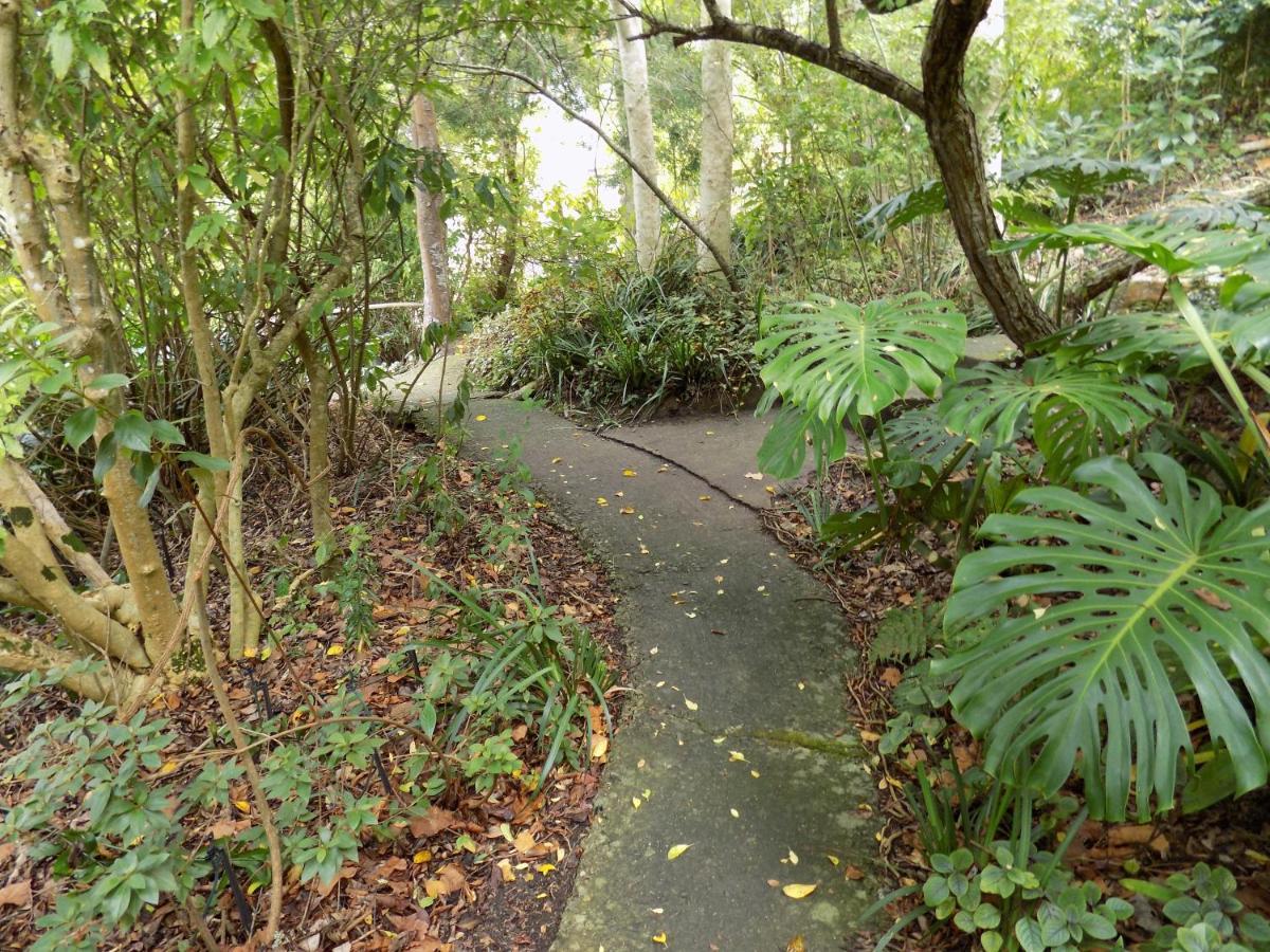 Protea Guest House Knysna Bagian luar foto