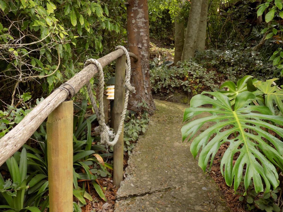 Protea Guest House Knysna Bagian luar foto