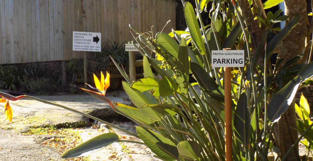 Protea Guest House Knysna Bagian luar foto