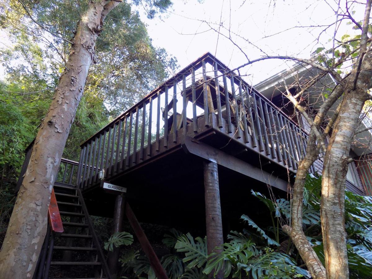 Protea Guest House Knysna Bagian luar foto