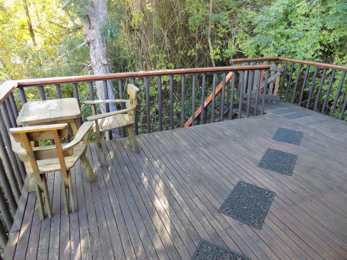 Protea Guest House Knysna Bagian luar foto