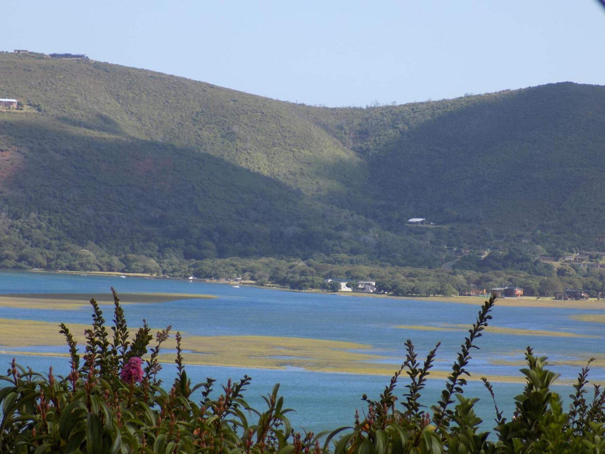 Protea Guest House Knysna Ruang foto
