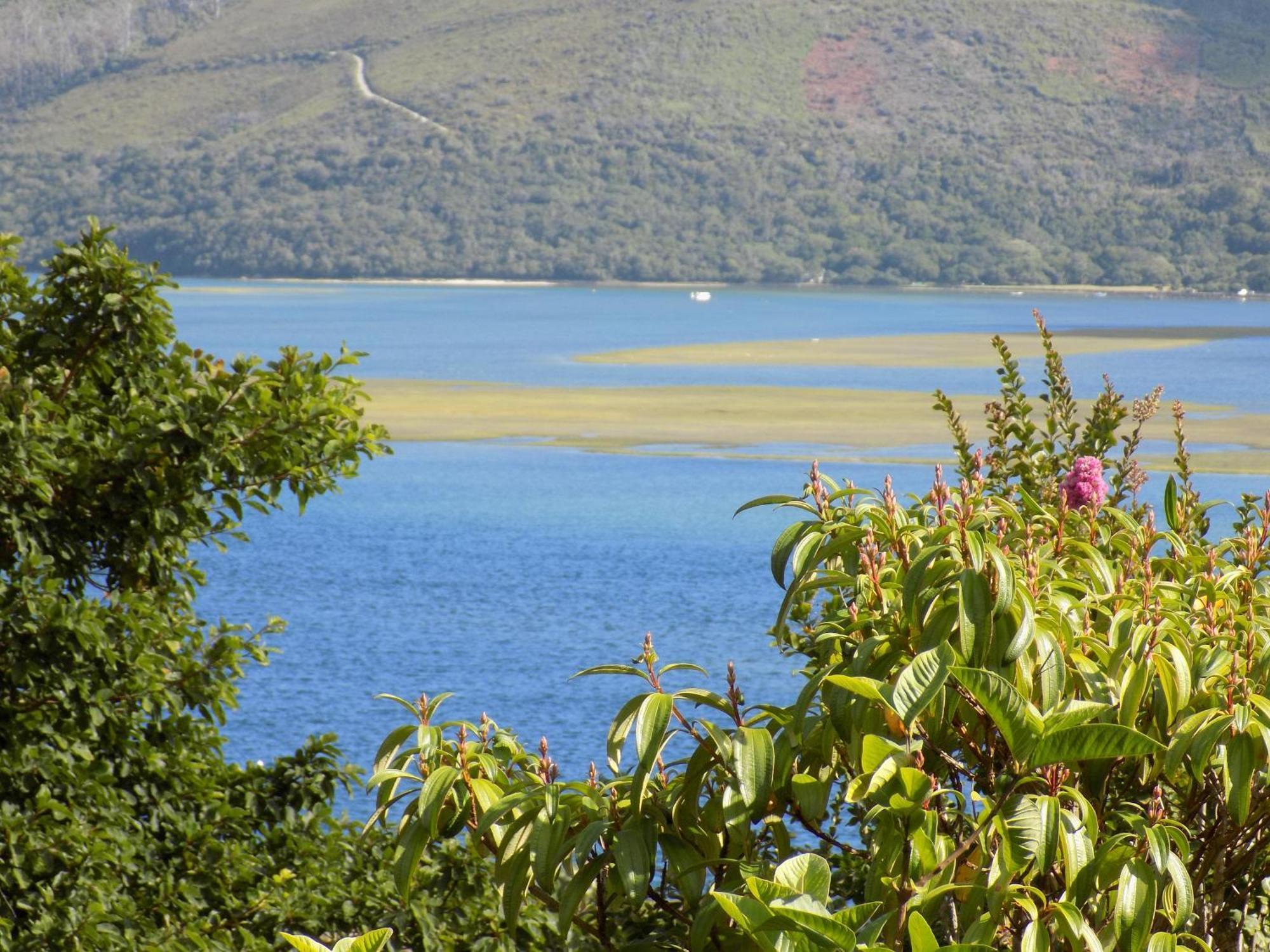 Protea Guest House Knysna Ruang foto